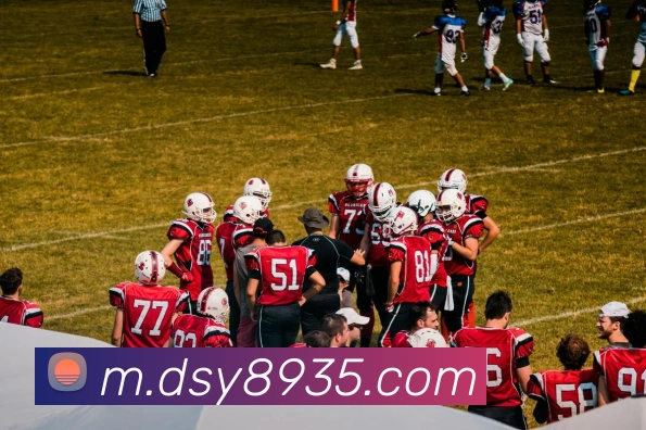 多媒体互动体验